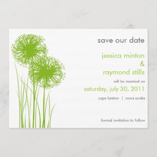 Allium im Gras Save the Date