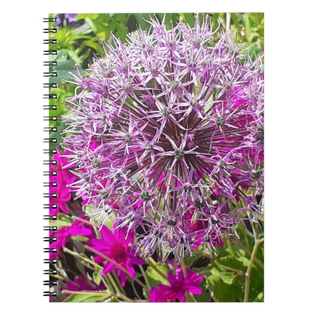 Allium & Summer Blume SpiralNotebook Notizblock (Vorderseite)