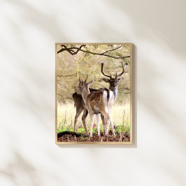 allow Deer of the English Estate Fotodruck