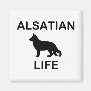 Alltagsleben Magnet