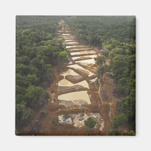 Alluvialer Goldbergbau. Regenwald, Guyana. Magnet