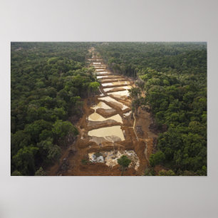 Alluvialer Goldbergbau. Regenwald, Guyana. Poster