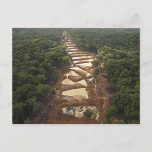 Alluvialer Goldbergbau. Regenwald, Guyana. Postkarte