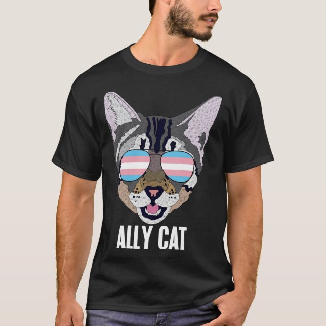 Ally Chat Funny Chat Trans Pride Sweat - shirt à c (Devant)