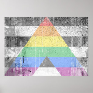 ALLY FLAG DISTRESSED -.png Poster