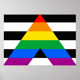 ALLY FLAG ORIGINAL -.png Poster