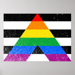 ALLY FLAG ORIGINAL -.png remains the same as it's Poster