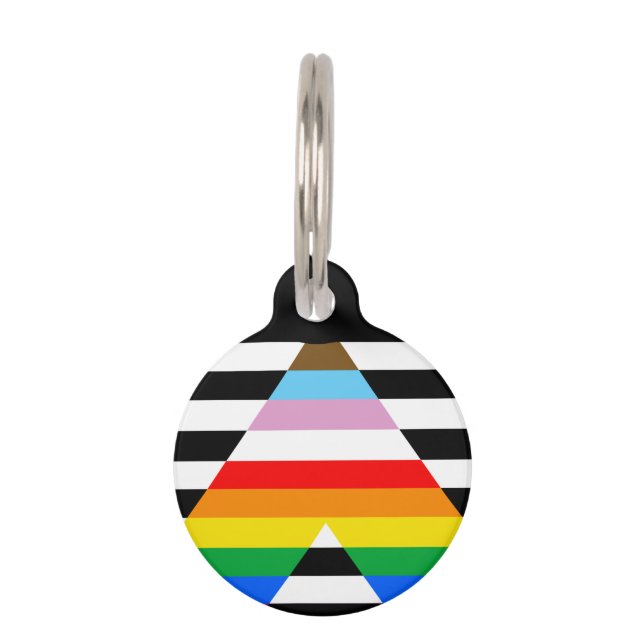 Ally Progress Pride Flag Haustiermarke (Vorderseite)