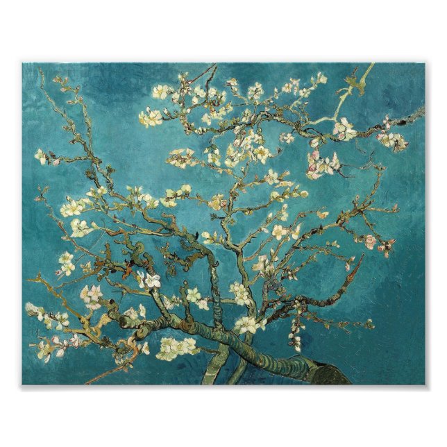 Almond Blossom Fotodruck (Vorne)