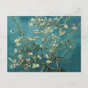 Almond Blossom Postcard Postkarte