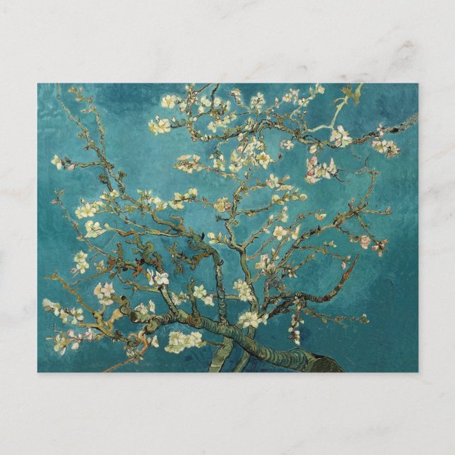 Almond Blossom Postcard Postkarte (Vorderseite)