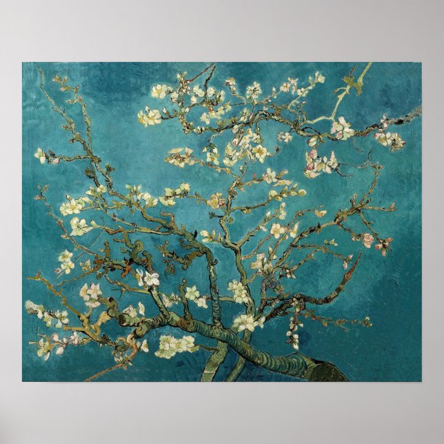 Almond Blossom Poster (Vorne)