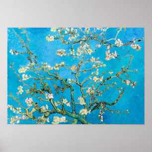 Almond Blossom Vincent Van Gogh Poster