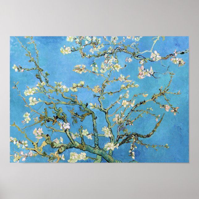 Almond Blossom Vincent Van Gogh Poster (Vorne)