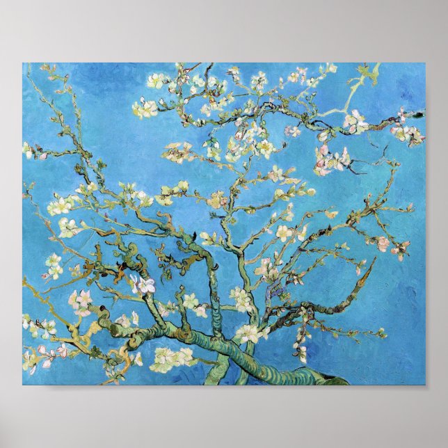 Almond Blossom Vincent Van Gogh Poster (Vorne)