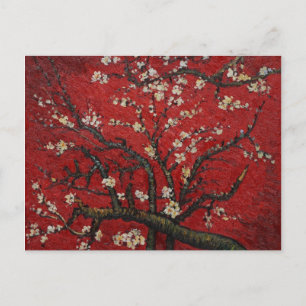Almond Blossom Vincent Van Gogh Postkarte