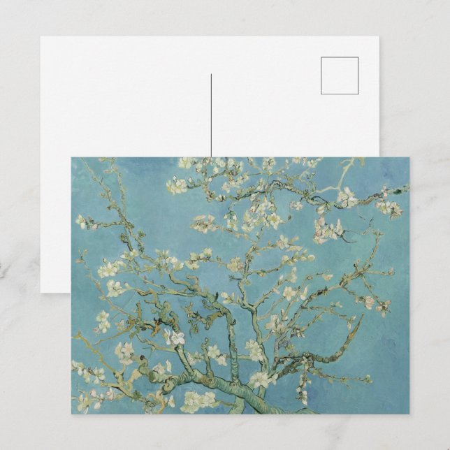 Almond Blossom: Vincent Van Gogh Postkarte (Vorne/Hinten)