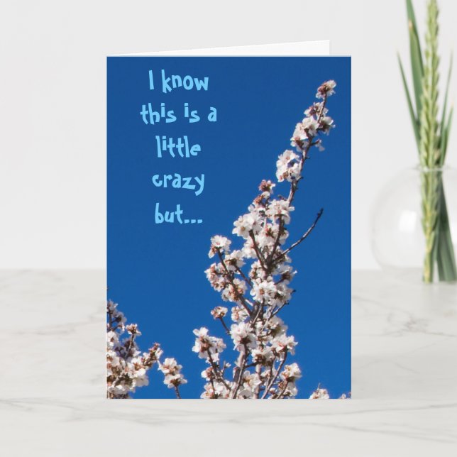 Almond Blossom Wacky Merci (Devant)