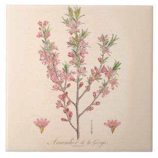 Almond Blüten Keramik Tile Kitchen Dekoration Fliese