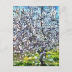 Almond Tree Blossom Kunstmalerei Postkarte