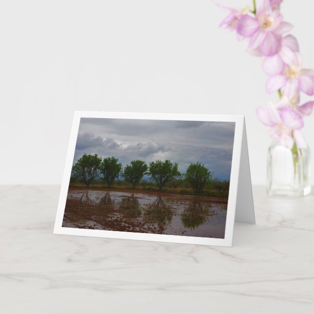 Almond Tree Landscape Card Karte (Orchidee)