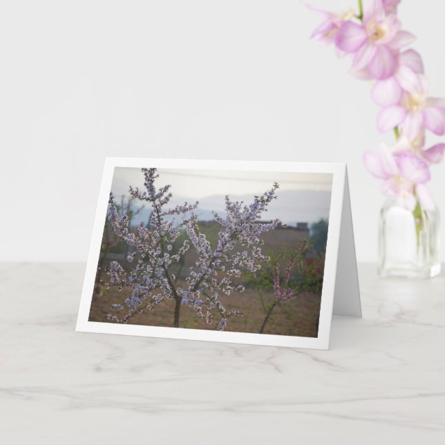 Almond Tree mit Blossom Karte (Orchidee)