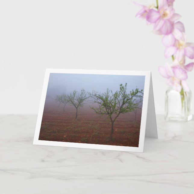 Almond Tree Orchard on Foggy Morning Karte (Orchidee)