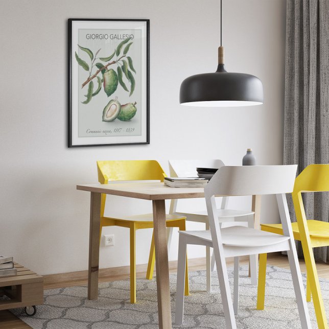 Almond, Vintages botanisches Illustrationspopster Poster (Von Creator hochgeladen)