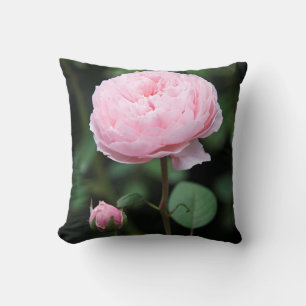 Alnwick Castle Rose Kissen