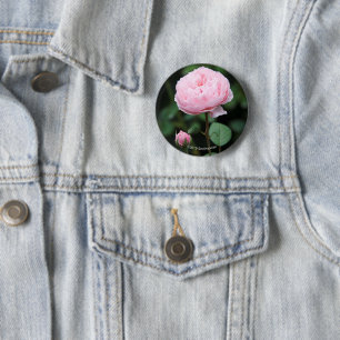 Alnwick-Schloss-Rose Button