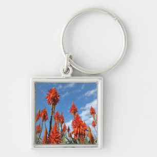Aloe Arborescens Schlüsselkette Schlüsselanhänger
