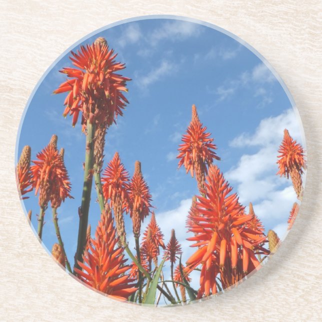 Aloe Arborescens Untersetzer (Vorne)