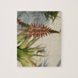 Aloe-Blumen-Blüten-Foto-Puzzlespiel mit