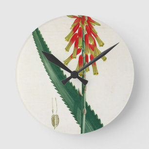 Aloe from 'Phytographie Medicale' by Joseph Roques Runde Wanduhr