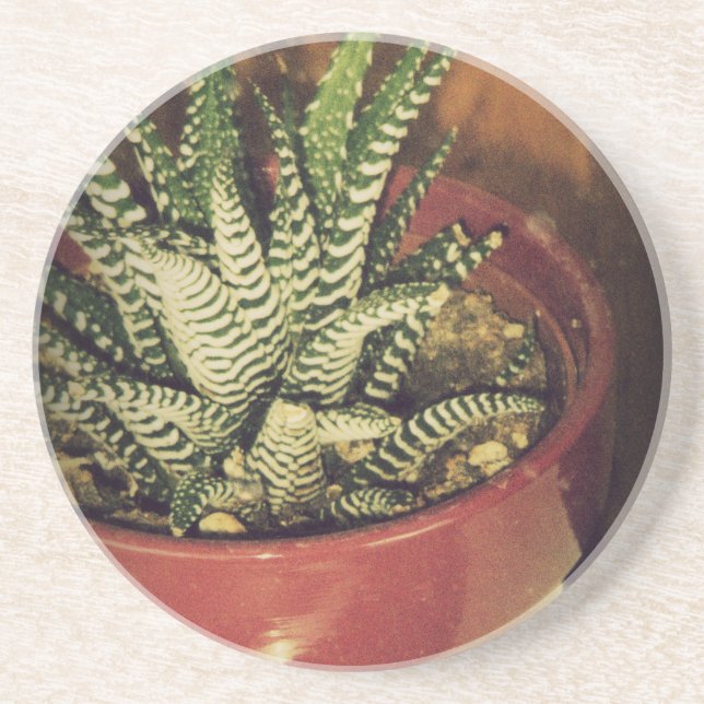 Aloe Getränkeuntersetzer (Vorne)