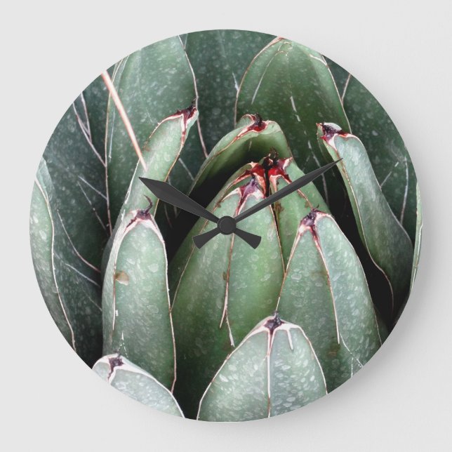 Aloe Green Pflanze Foto Runde (große Wall-Uhr) Große Wanduhr (Vorderseite)