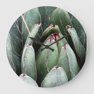 Aloe Green Photo Plante Round (Grande horloge mura