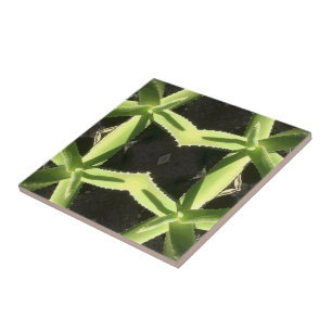 Aloe-Muster 3h Fliese