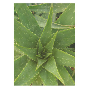 Aloe Tischdecke