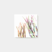 ALoe Vera, Art Notes