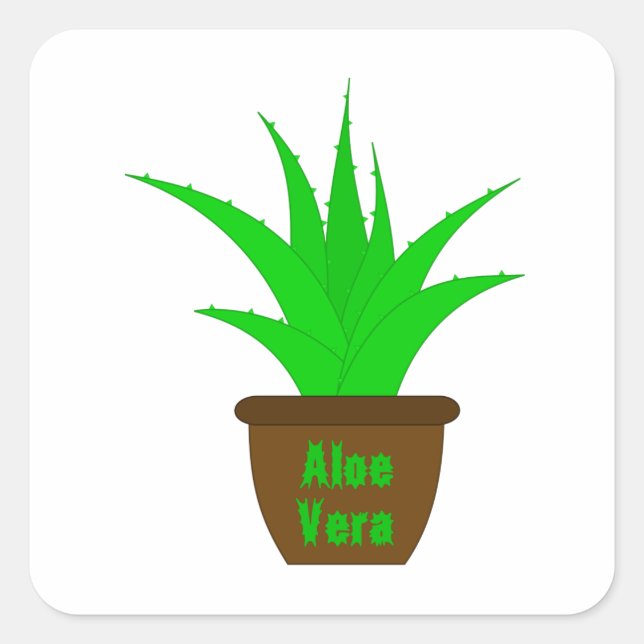 Aloe Vera avec un Étiquette (Devant)