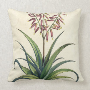 Aloe Vera gemein, von "Phytographia Curiosa", p Kissen