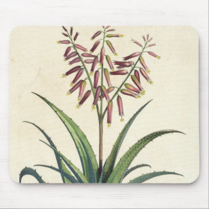 Aloe Vera gemein, von "Phytographia Curiosa", p Mousepad