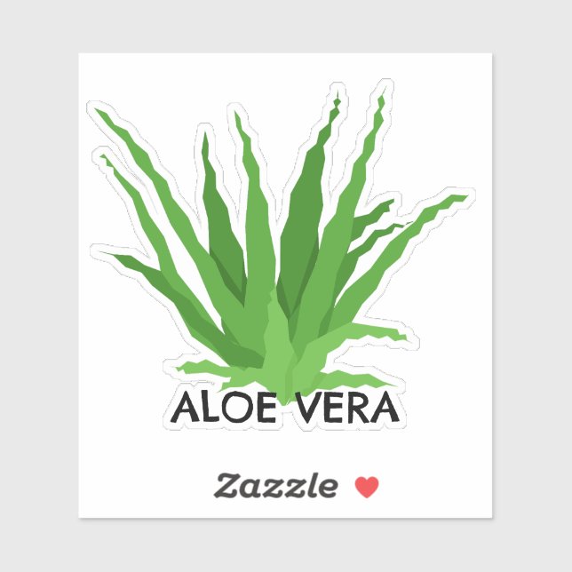 Aloe vera Green Succulent Aufkleber (Blatt)