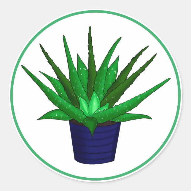 Aloe Vera Hand Drawn Housepflanze Kunst Runder Aufkleber (Vorderseite)