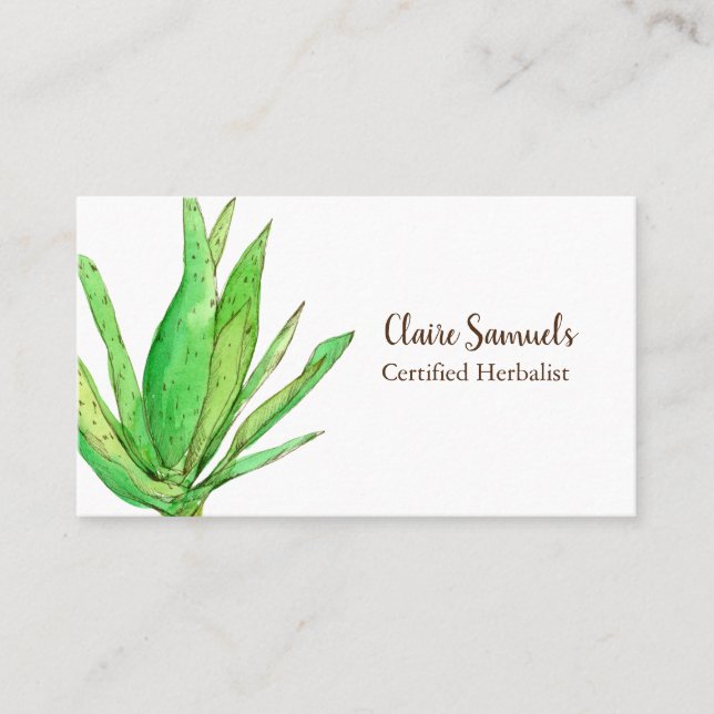 Aloe Vera Herb Watercolor Pflanze Visitenkarte (Vorderseite)