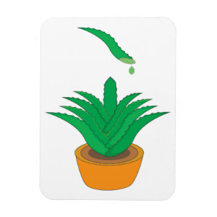 Aloe Vera Magnet