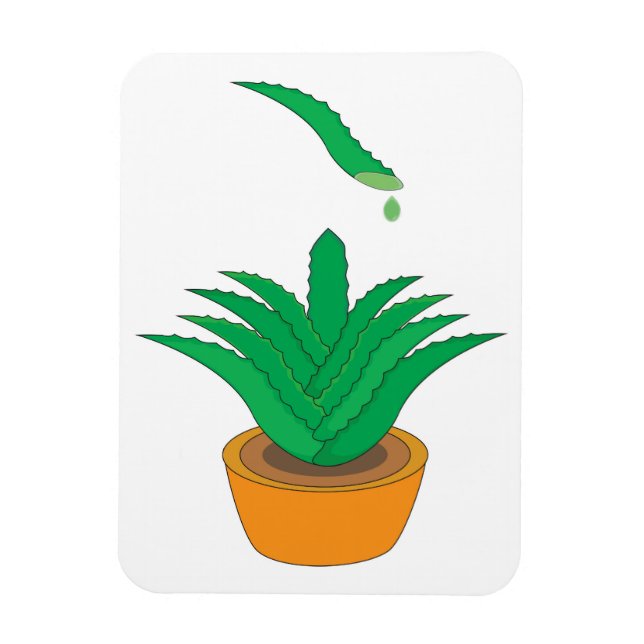 Aloe Vera Magnet (Vertikal)