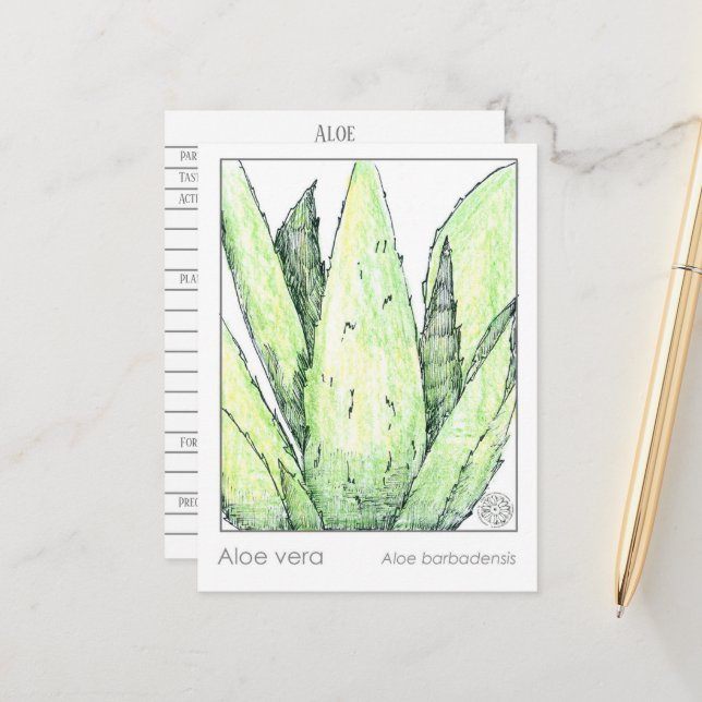Aloe Vera Materia Medica Cards Kräuterstudien Pfla Postkarte (Vorderseite/Rückseite Beispiel)