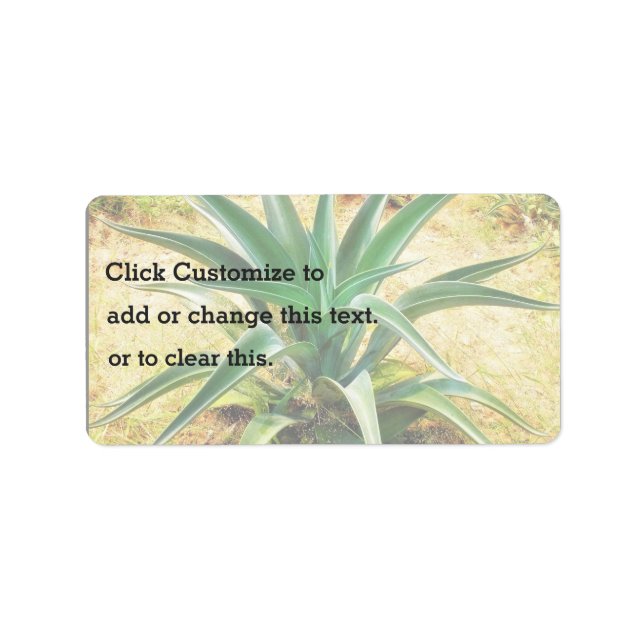 Aloe Vera Pflanze Adressaufkleber (Vorne)